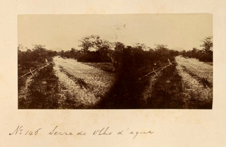 Comissao-Geologica-do-Imperio-Album2-Foto146-Getty