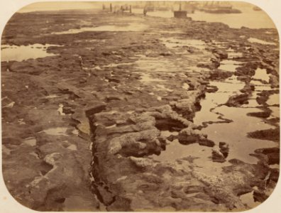 Comissao-Geologica-do-Imperio-Album1-Foto019-Getty (cropped)