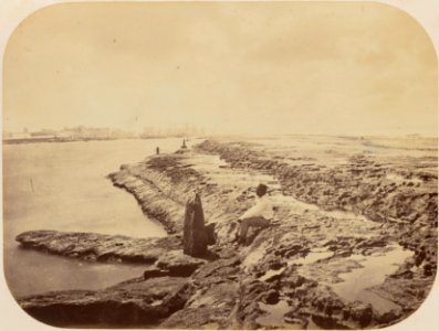 Comissao-Geologica-do-Imperio-Album1-Foto023-Getty (cropped)