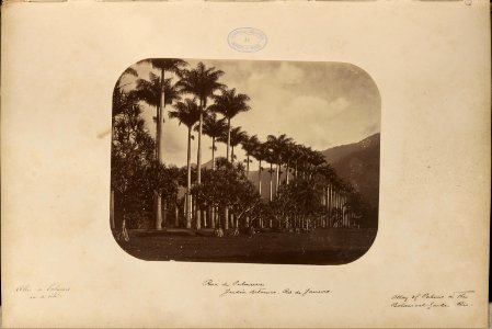 Comissao-Geologica-do-Imperio-Album2-Foto158-Getty