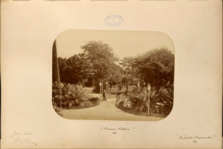 Comissao-Geologica-do-Imperio-Album2-Foto164-Getty