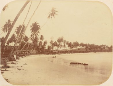 Comissao-Geologica-do-Imperio-Album1-Foto077-Getty (cropped)
