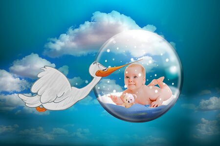 Fertility storks children