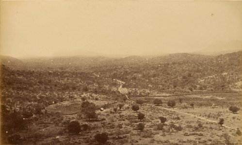 Comissao-Geologica-do-Imperio-Album2-Foto115-Getty (cropped)