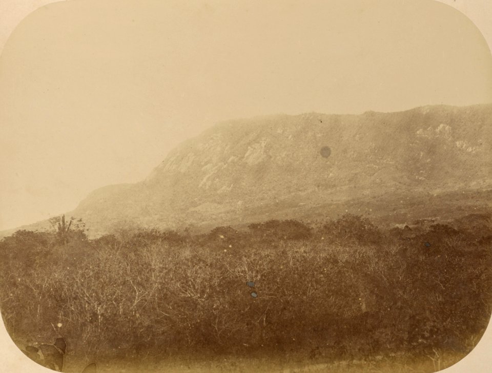 Comissao-Geologica-do-Imperio-Album2-Foto119-Getty (cropped)