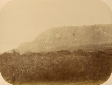 Comissao-Geologica-do-Imperio-Album2-Foto119-Getty (cropped)