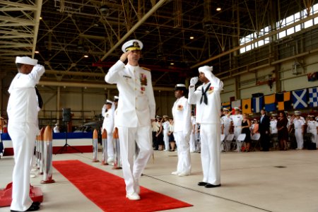 Commander, Fleet Air Forward change of command 130725-N-TO330-176