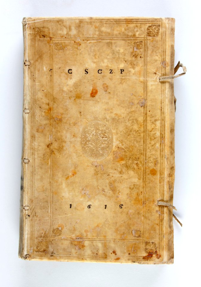 Bok klädd i pergament - Skoklosters slott - 93193