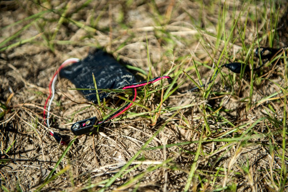 Bold Alligator 2014 141027-N-YD328-184