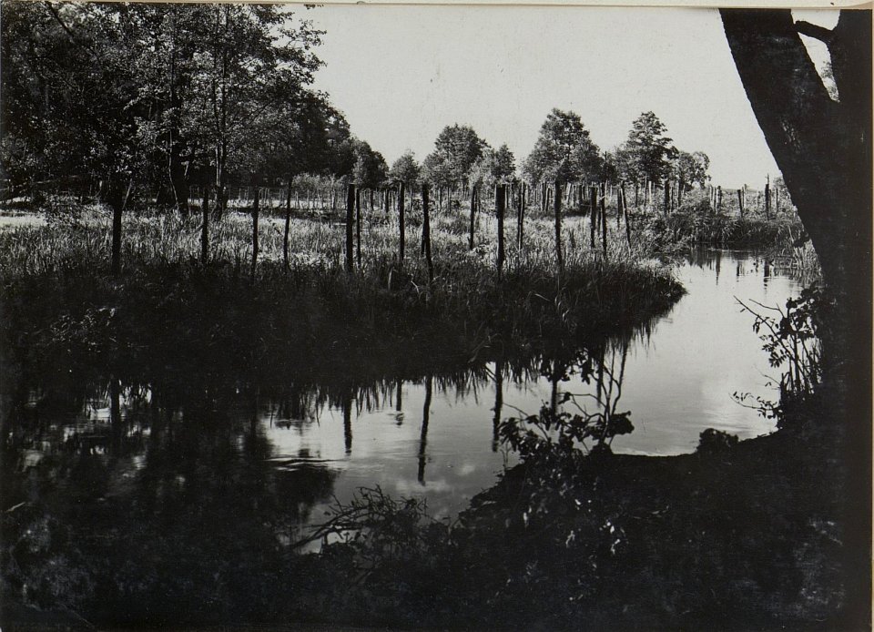 Boldurka beim Dratverhau vor IR.84 (BildID 15446019)