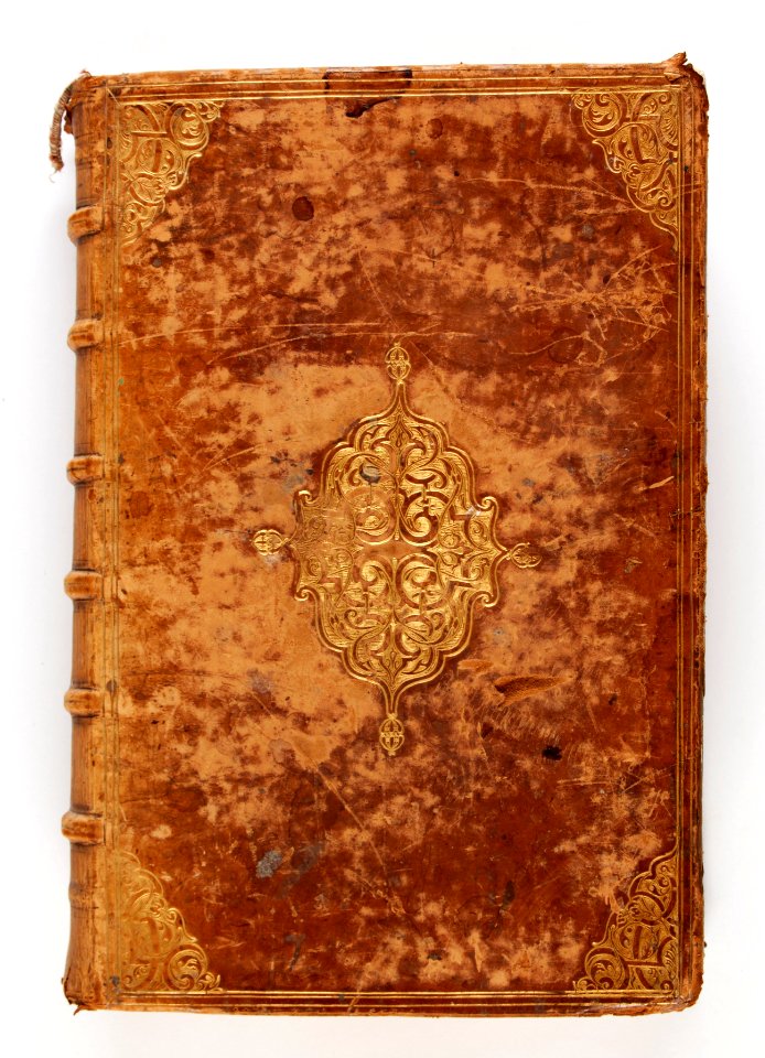 Bokband av kalvskinn ...Historiarvm svi temporis tomvs primvs (- tomvs secvndus)..., ca 1559 - Skoklosters slott - 93343