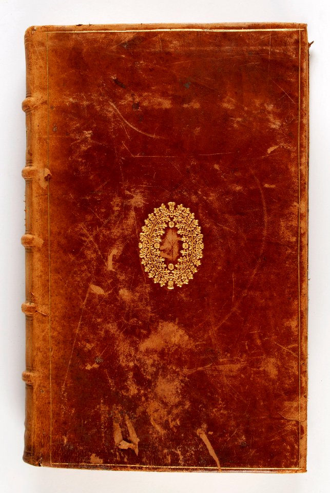 Bokband av kalvskinn, 1623 - Skoklosters slott - 93495