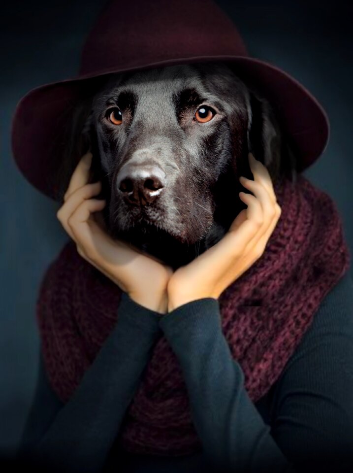 Dog portrait thinker