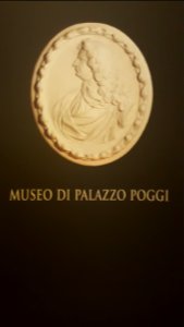 Bologna — Museo di Palazzo Poggi (sollievo)