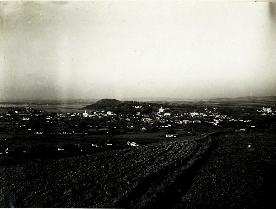 Bolszowce. (BildID 15591566)