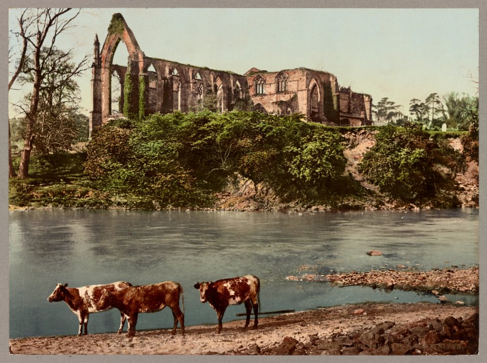 Bolton Abbey. From River LCCN2017659174