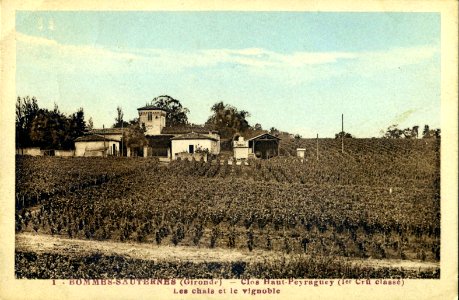 Bommes - Clos Haut-Peyraguey