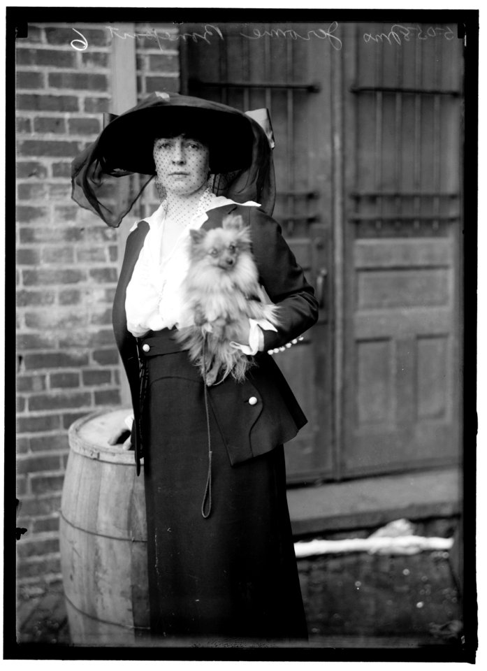 BONAPARTE, MRS. JEROME N. DOG SHOW LCCN2016866265