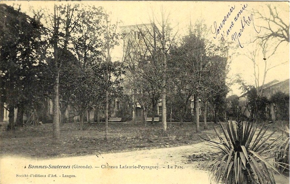 Bommes - château Lafaurie-Peyraguey 2
