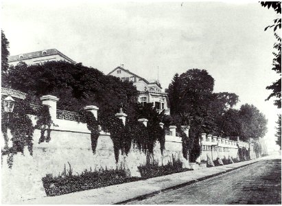 Bonn Villa Blume Obernier Rheinufer