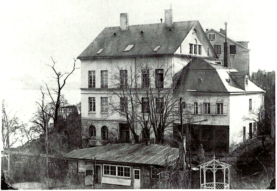 Bonn Villa Brandis 1867