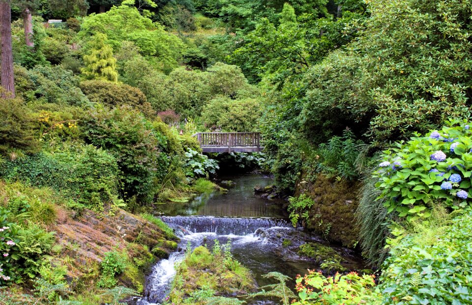 Water small waterfall green waterfall