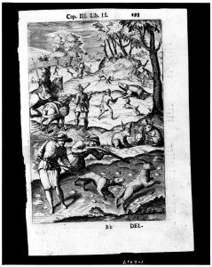 Book illustration showing hunting scene) - Bb. del LCCN90716555
