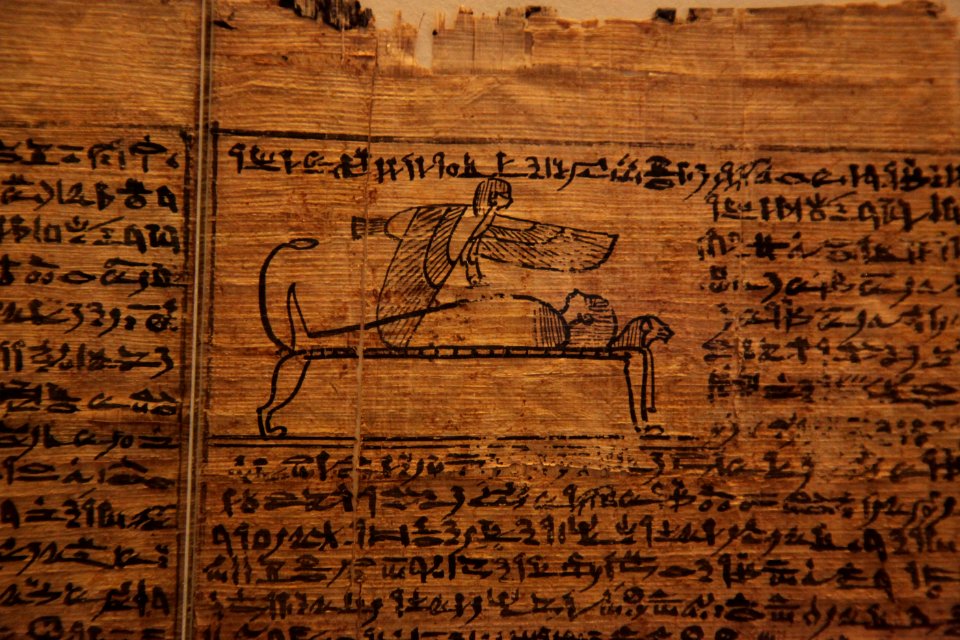 Book of the dead-MAHG 23464-IMG 9729