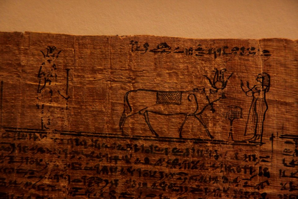Book of the dead-MAHG 23464-IMG 9722