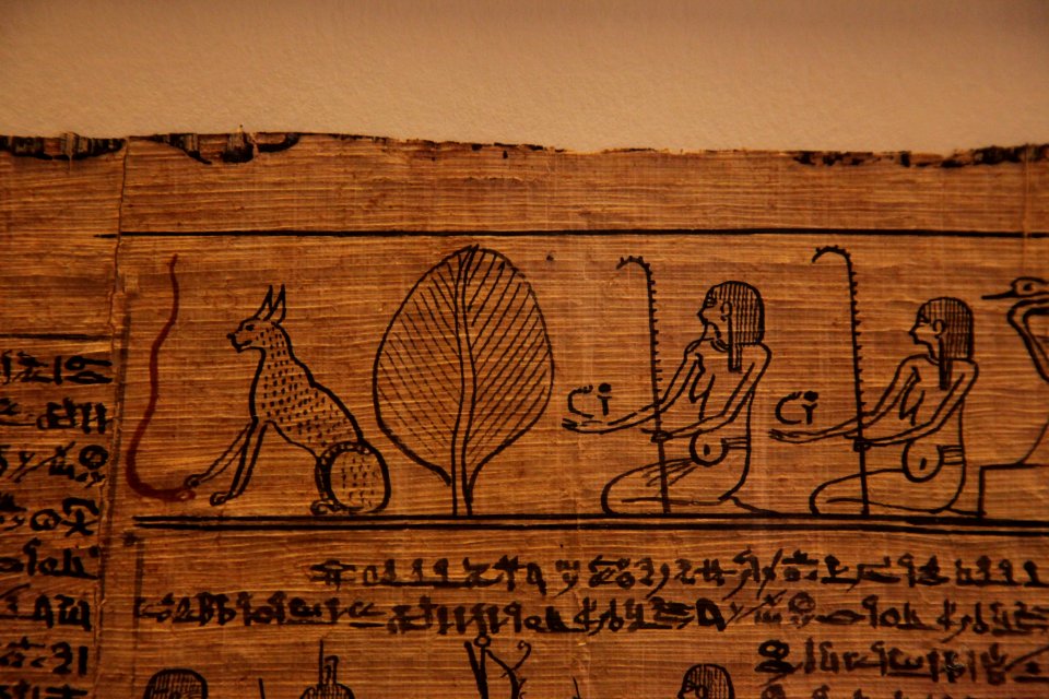 Book of the dead-MAHG 23464-IMG 9737