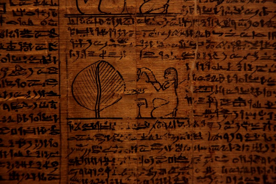 Book of the dead-MAHG 23464-IMG 9734