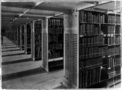Bookstack LCCN96503014