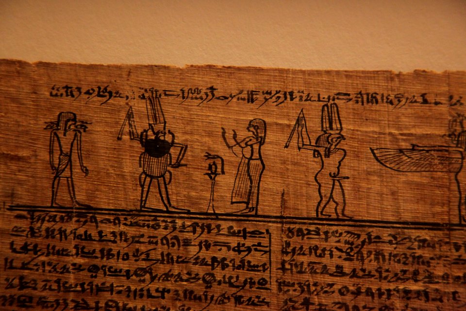 Book of the dead-MAHG 23464-IMG 9723