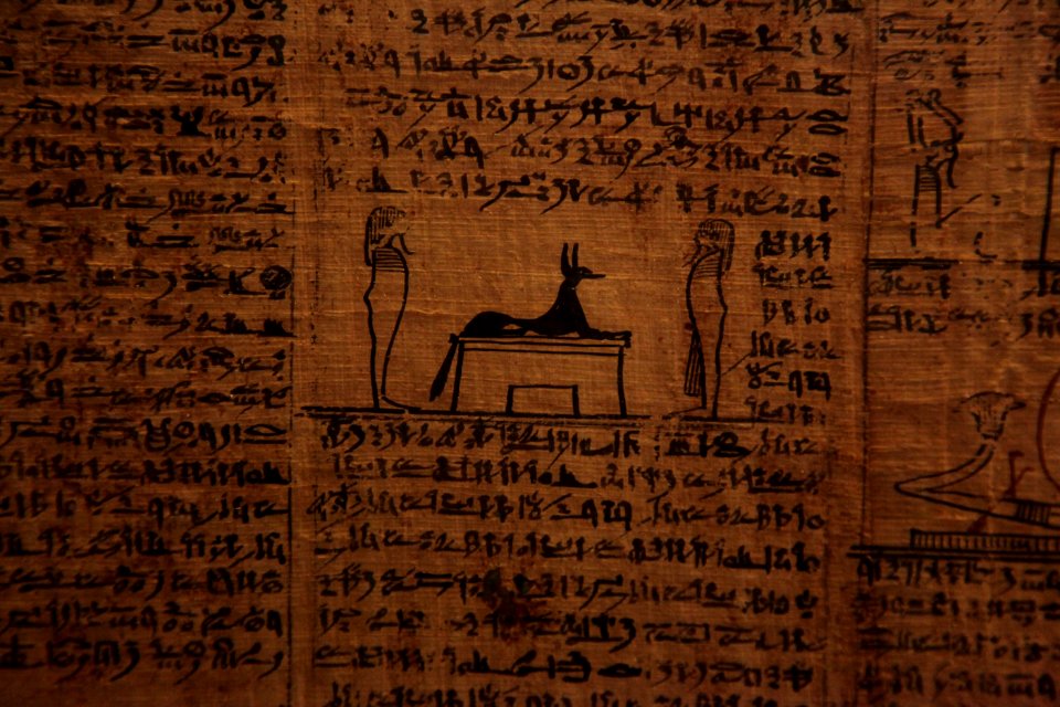 Book of the dead-MAHG 23464-IMG 9727