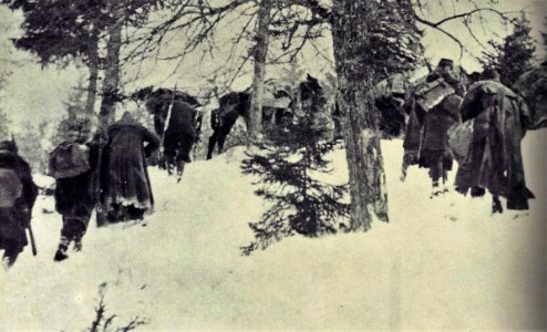 Borci 14. divizije na gozdnem terenu na Graška gori