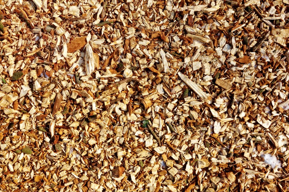 Pathway wood chips pathway ground covering