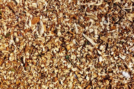 Pathway wood chips pathway ground covering