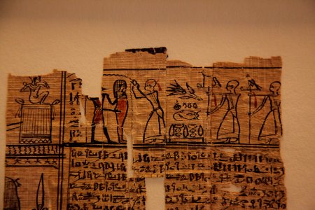 Book of the dead-MAHG 23464-IMG 9747