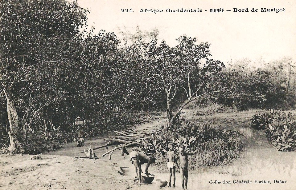 Bord de Marigot (Guinée)