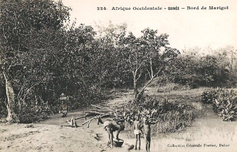 Bord de Marigot (Guinée)