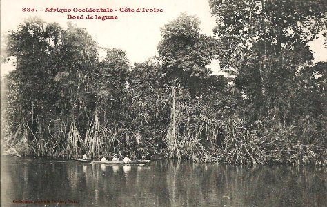 Bord de lagune (Côte d'Ivoire)