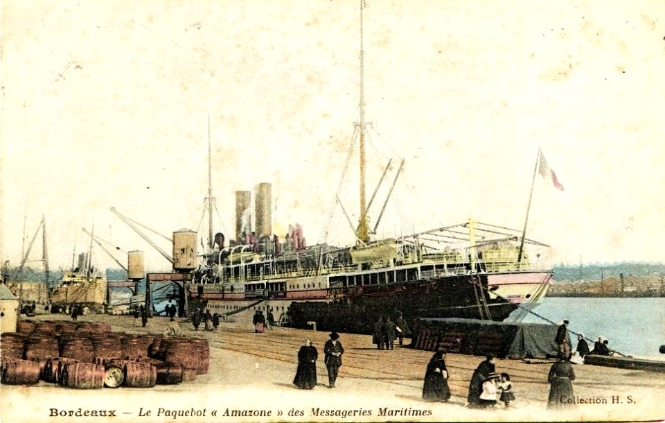 Bordeaux - Amazone