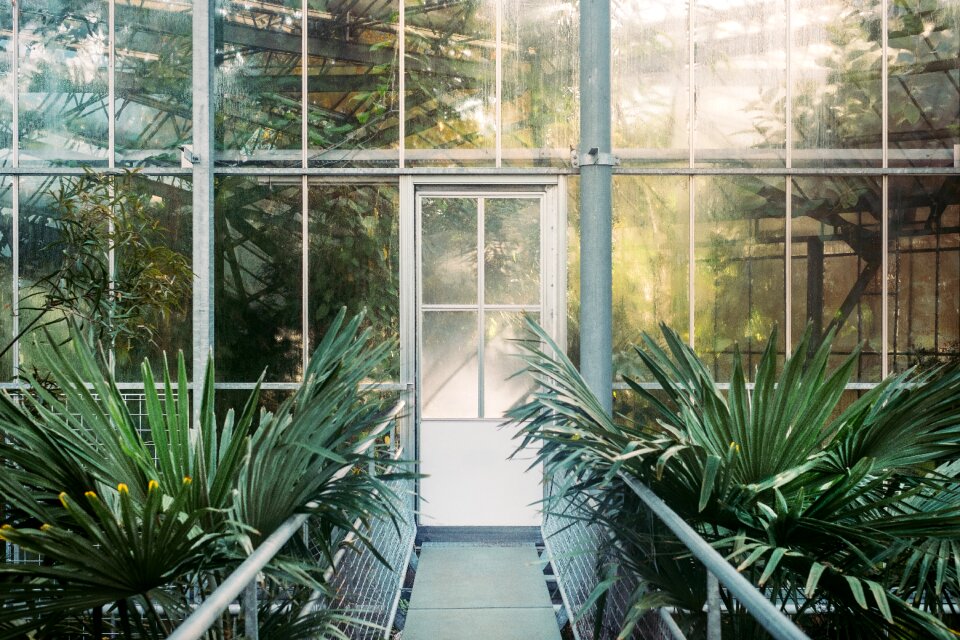 Building glass path