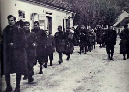 Borci Šercerjeve brigade ob prihodu v Čazmo 17. januarja leta 1944