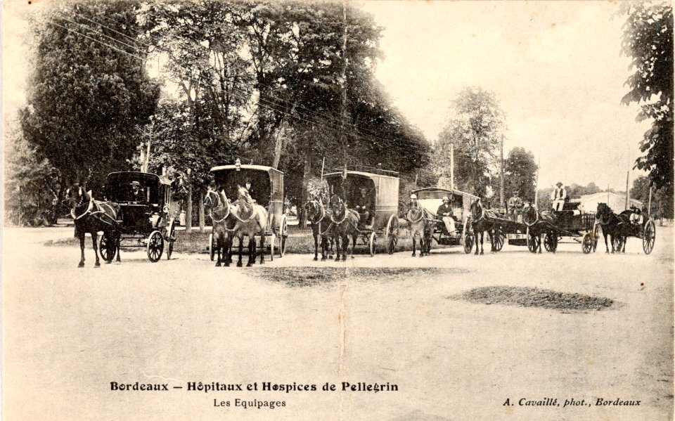 Bordeaux - Hôpital de Pellegrin 10