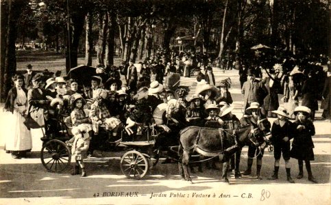Bordeaux - Jardin public - voiture à ânes