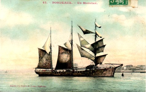 Bordeaux - Morutier