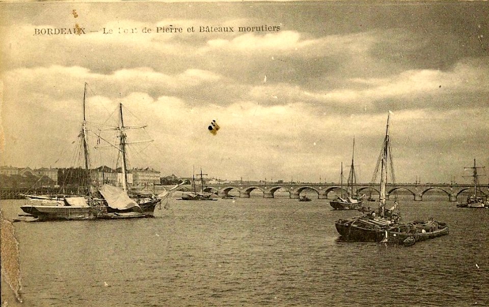 Bordeaux - Morutiers 3