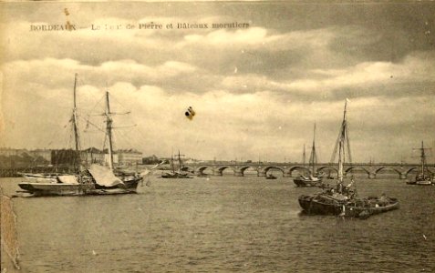 Bordeaux - Morutiers 3