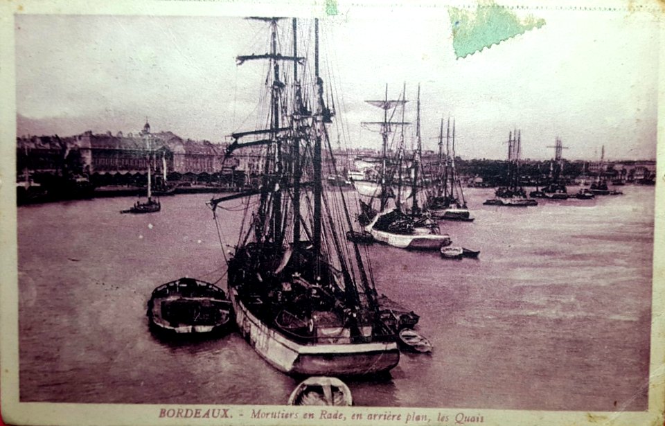 Bordeaux - Morutiers 4